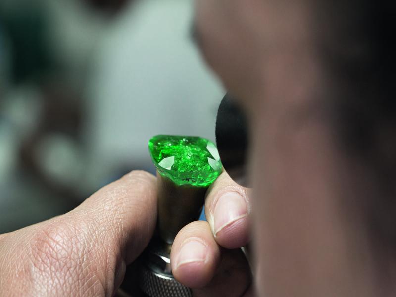 Traceability Go Live